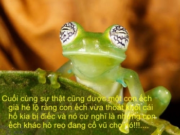 Câu chuyện về chú ếch 