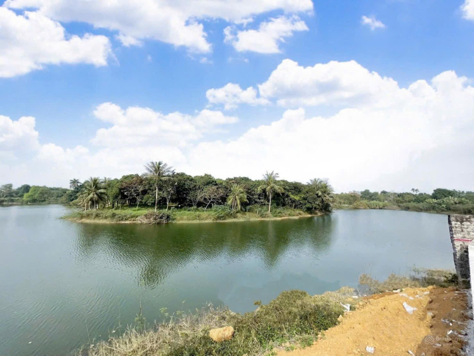 Mảnh Đất View Hồ, Đồng Trạng Cổ Đông, 100m Sẵn Sổ Đường To, Cần Bán Giá Cực Mềm