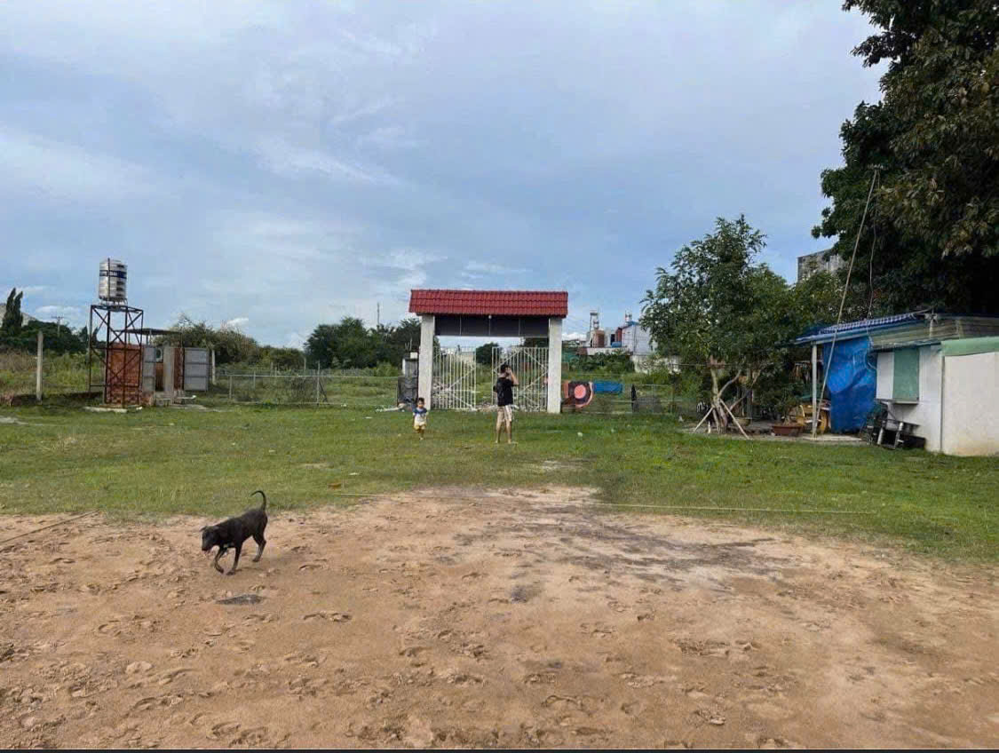 CẦN BÁN ĐẤT 2.000m² – CHÍNH CHỦ - VĨNH LỘC, HỒ CHÍ MINH