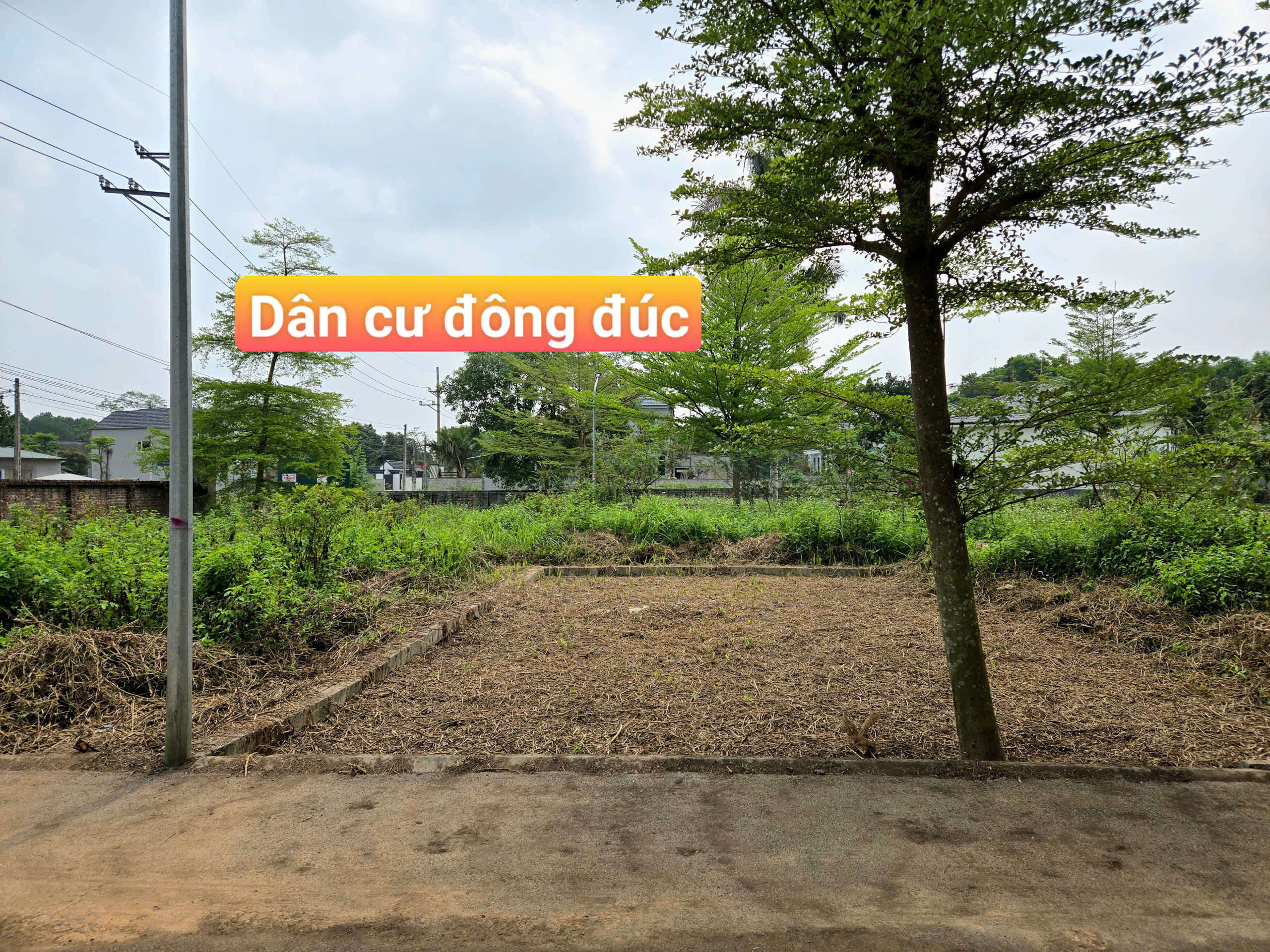 HƠN 2 TỶ SỞ HỮU NGAY LÔ ĐỐI DIỆN TRƯỜNG – ĐỒNG TRẠNG HIẾM CÓ KHÓ TÌM