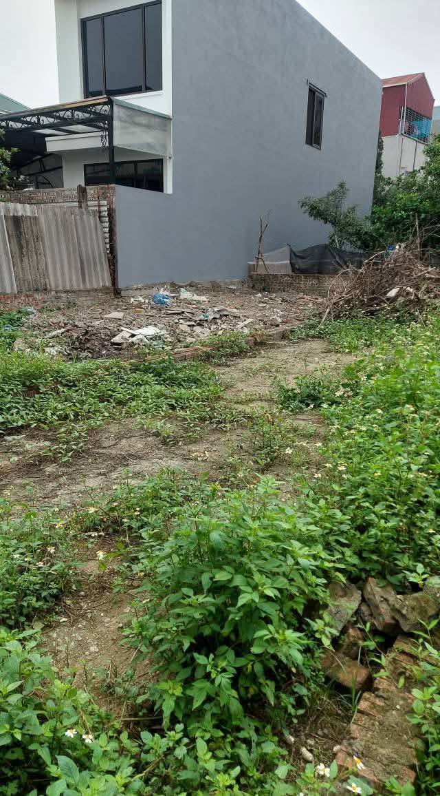 Rẻ và đẹp như này không mua thì mua ở đâu đất vạn 3 124m giá cho ae đầu tư khu vực đân cư than thiện tiện ích xung quanh đầy đủ oto vao dat 20m
