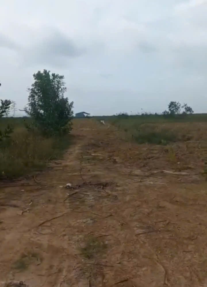 Cần bán đất 80 mẫu tại Vĩnh Cửu Đồng Nai  giá cả thương lượng với người có thiện chí mua