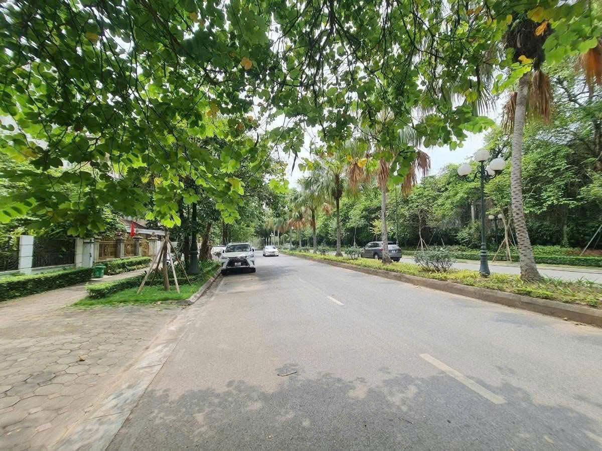 BÁN BIỆT THỰ KHU T CIPUTRA – 230m² – Mặt Tiền 10M – GIÁ 65 TỶ – SỔ ĐỎ CHÍNH CHỦ