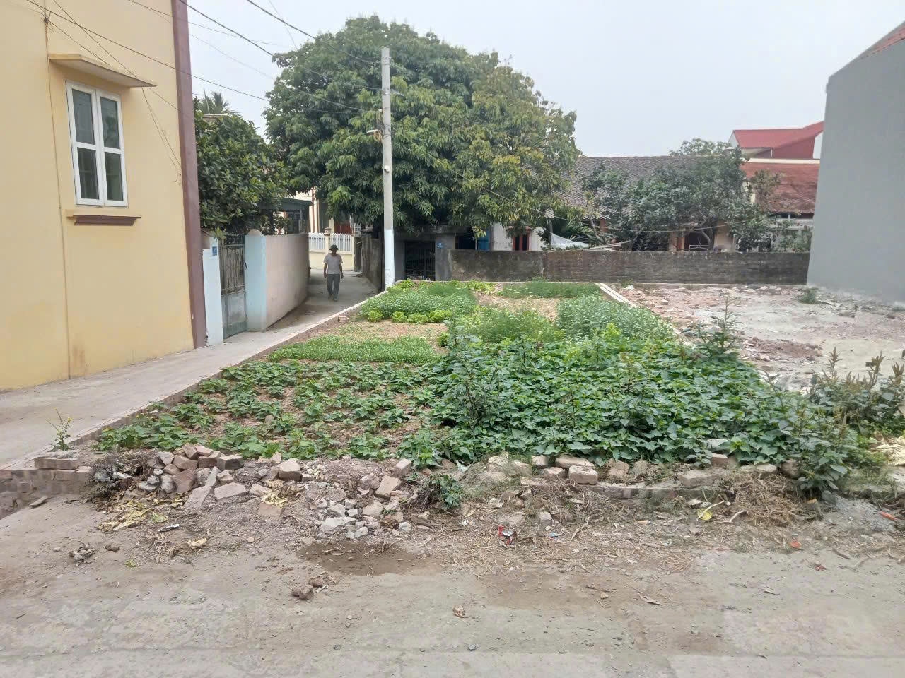 DUY TIÊN, HÀ NAM- CHÍNH CHỦ BÁN LÔ ĐẤT GÓC 3 MẶT TIỀN – VỊ TRÍ ĐẮC ĐỊA