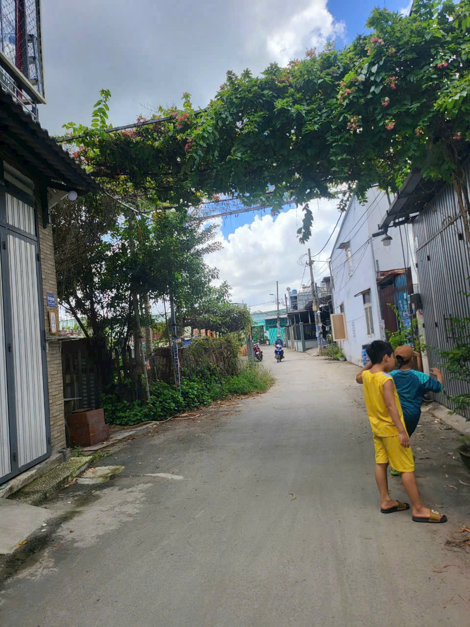 CHÍNH CHỦ BÁN ĐẤT NGỘP – CẦN BÁN GẤP