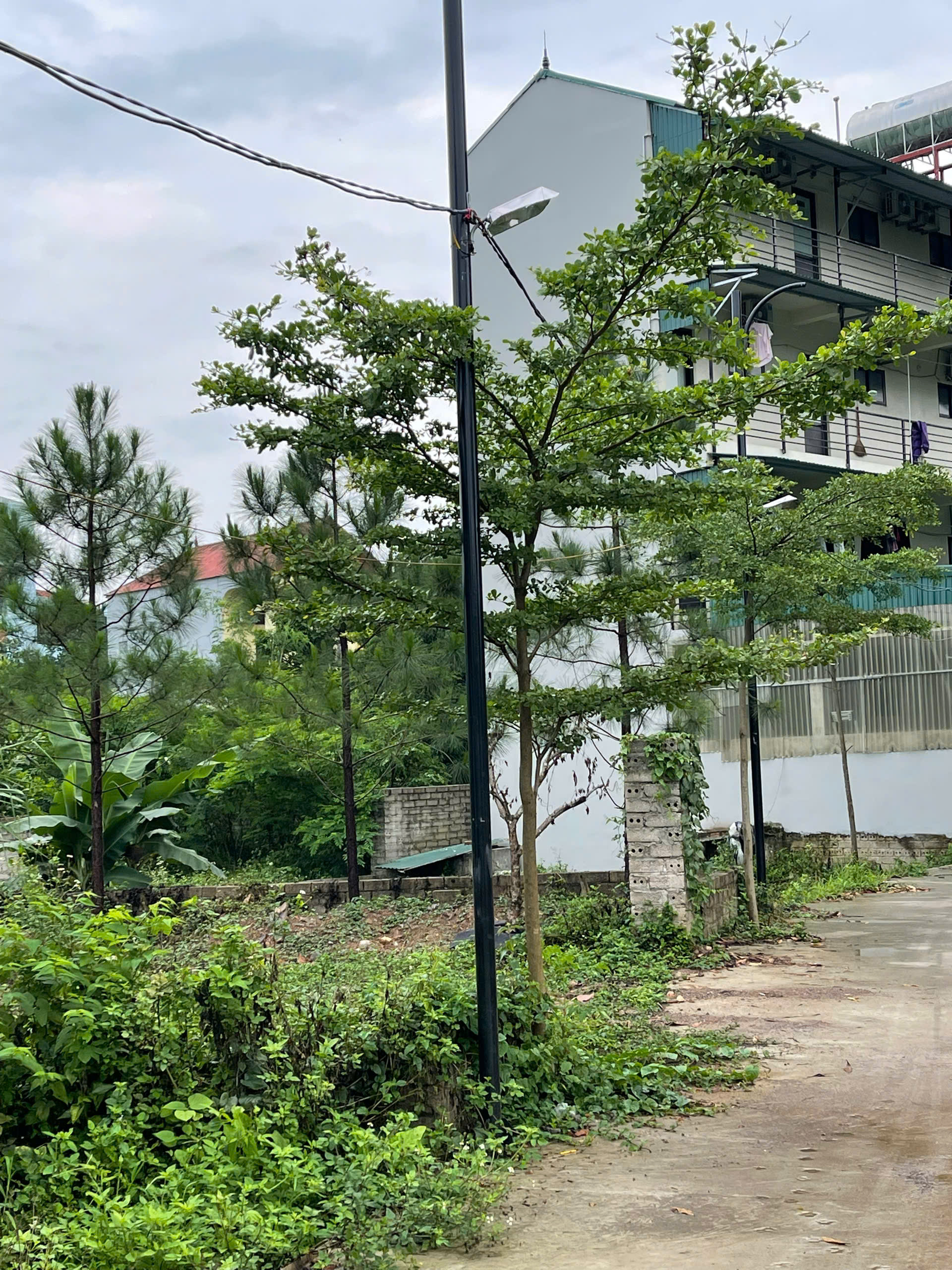 ???? ĐẦU TƯ ĐẤT NỀN HẠ BẰNG – THUỘC QUY HOẠCH HÒA LẠC, ĐÓN ĐẦU QUY HOẠCH ĐƯỜNG 22M ????