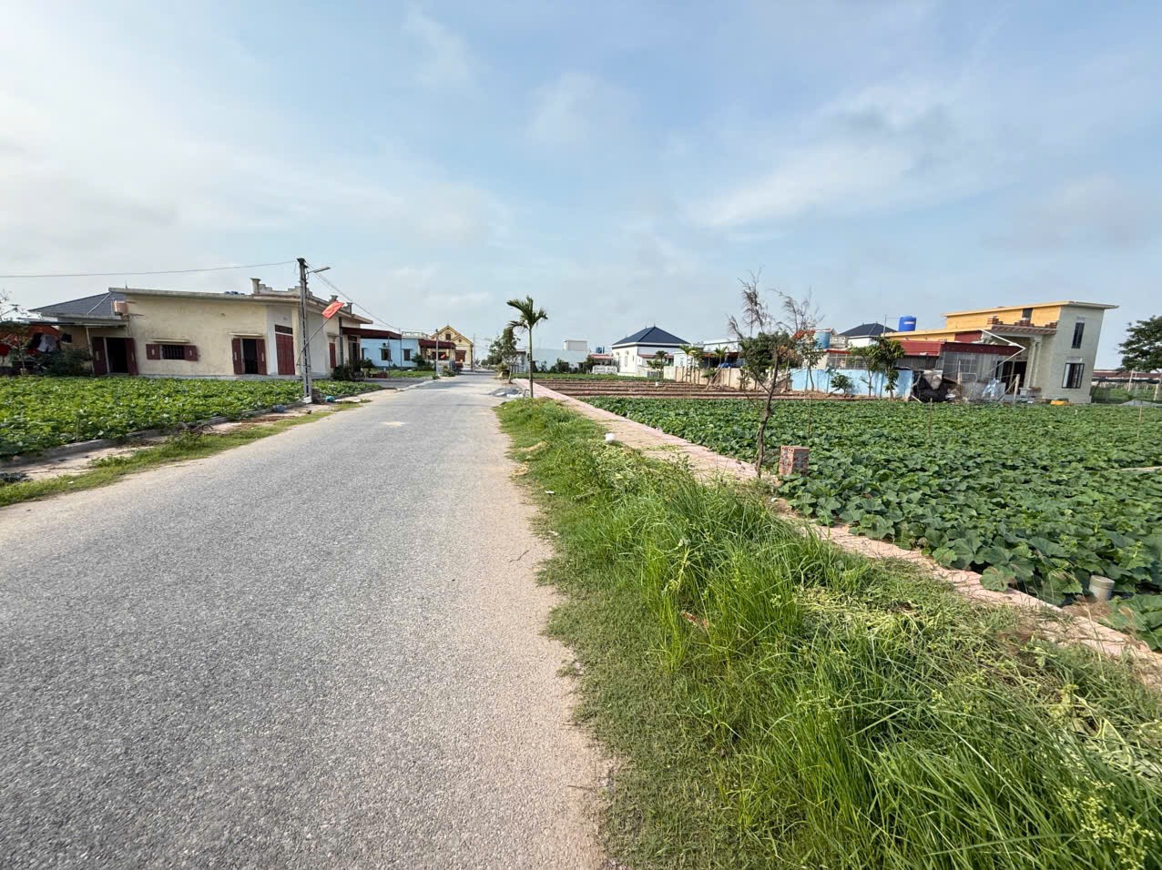 Bán gấp lô đất 83 m2 lấy tiền xây nhà