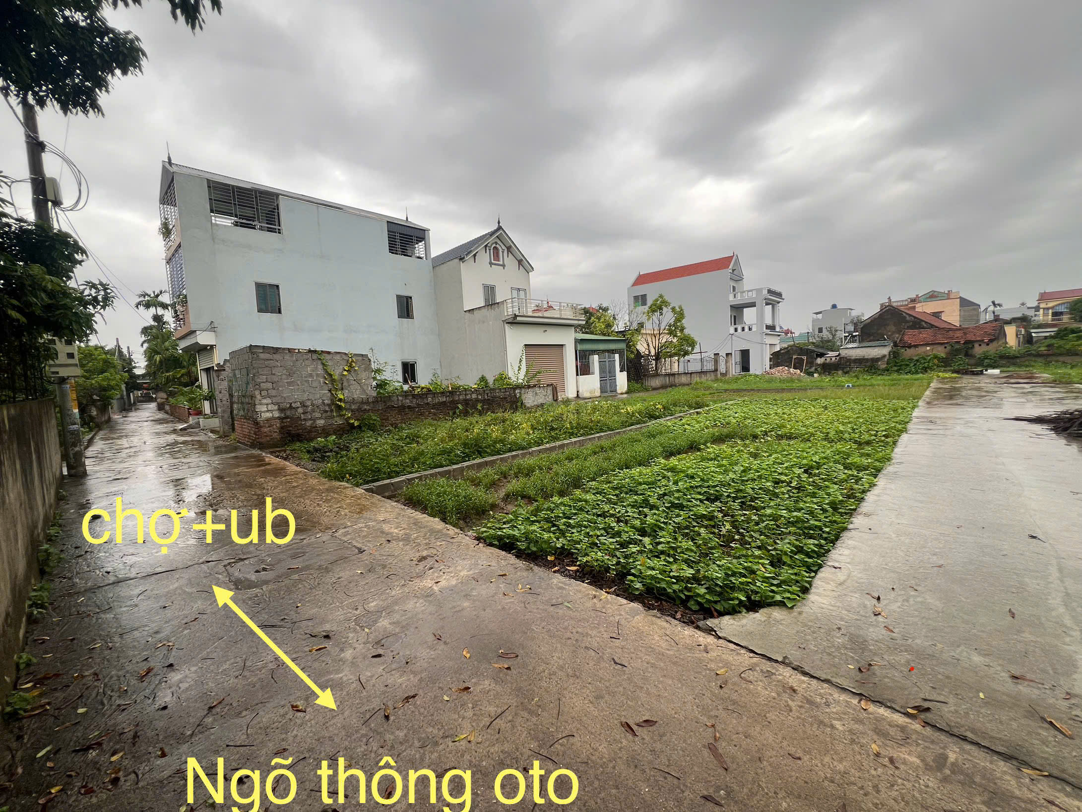 CHÍNH CHỦ BÁN LÔ ĐẤT 80,2M² – XÓM 2 GẦN CHỢ CHƯƠNG DƯƠNG, XÃ CHƯƠNG DƯƠNG, HUYỆN THƯỜNG TÍN (CŨ), HÀ NỘI