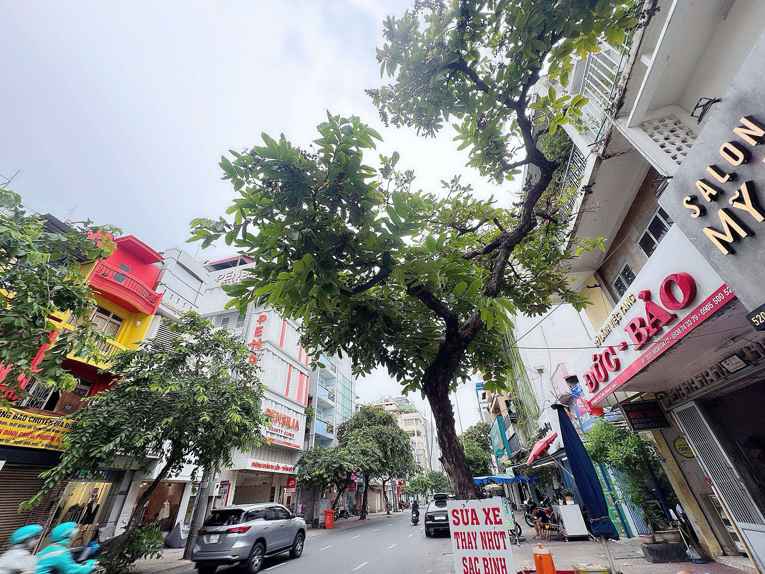 CHÍNH CHỦ BÁN NHÀ MẶT TIỀN KINH DOANH Đ.NGUYÊN ĐÌNH CHIỂU, QUẬN 3 - DUY NHẤT NHÀ CHÀO BÁN CHỈ 15TY * LIÊN HỆ GIANG GIANG:0938676685