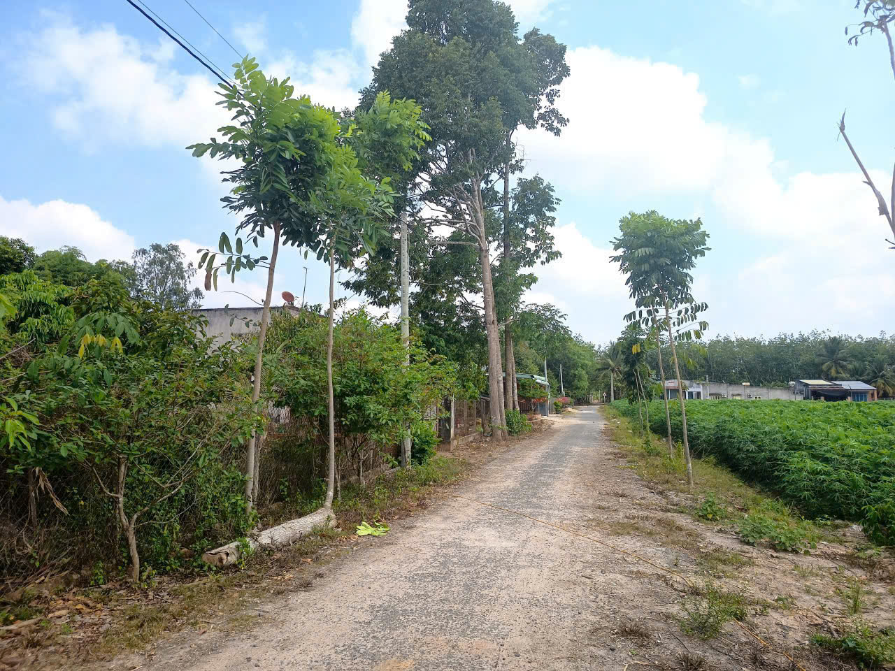 BÁN ĐẤT TÂY NINH – VỊ TRÍ ĐẸP – ĐƯỜNG NHỰA 6M – GIÁ TỐT