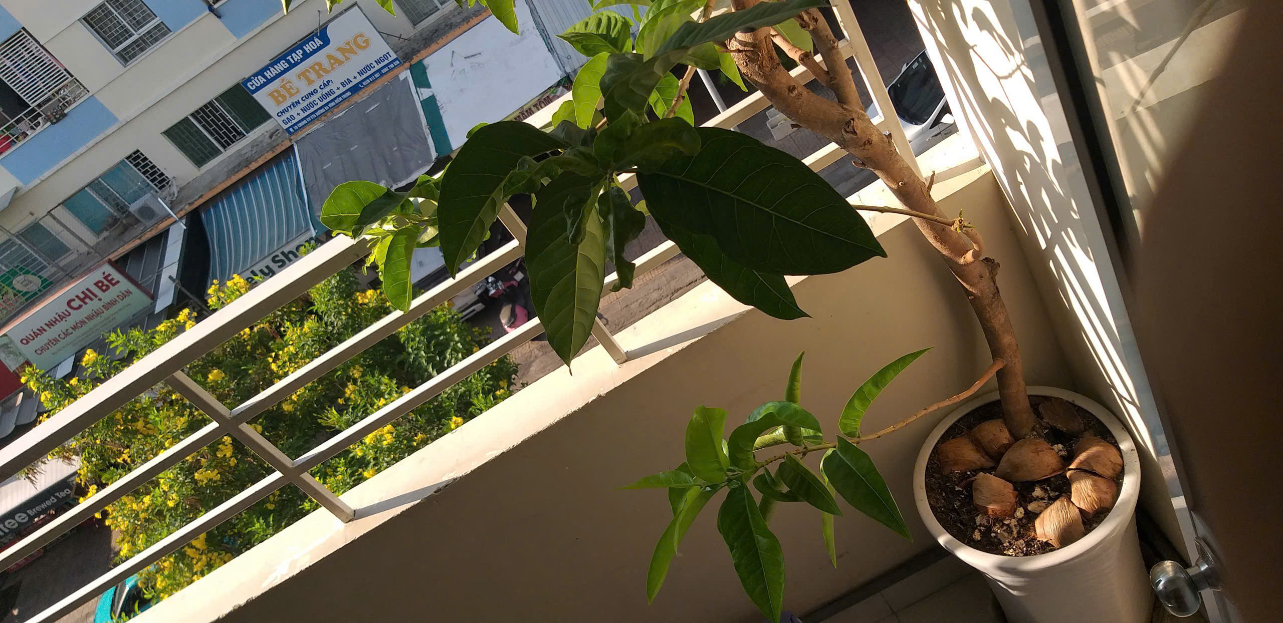 BÁN CĂN HỘ CT5 – VĨNH ĐIỀM TRUNG, NHA TRANG
Diện tích: 59,4m² Giá bán: 2,1 tỷ lh eTrang