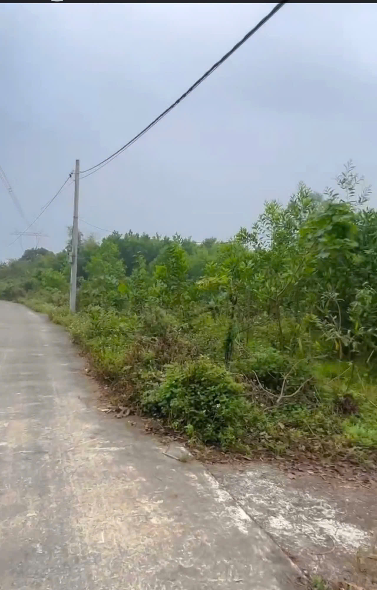 NINH BÌNH- BÁN ĐẤT CHÍNH CHỦ – NỞ HẬU – GIÁ TỐT