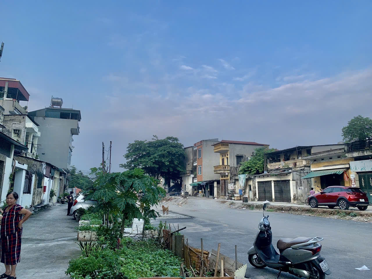 RẺ NHẤT QUẬN LONG BIÊN
???? MẶT PHỐ 40M – PHÂN LÔ – KINH DOANH – VỈA HÈ 6M – VỊ TRÍ ĐẮC ĐỊA ????