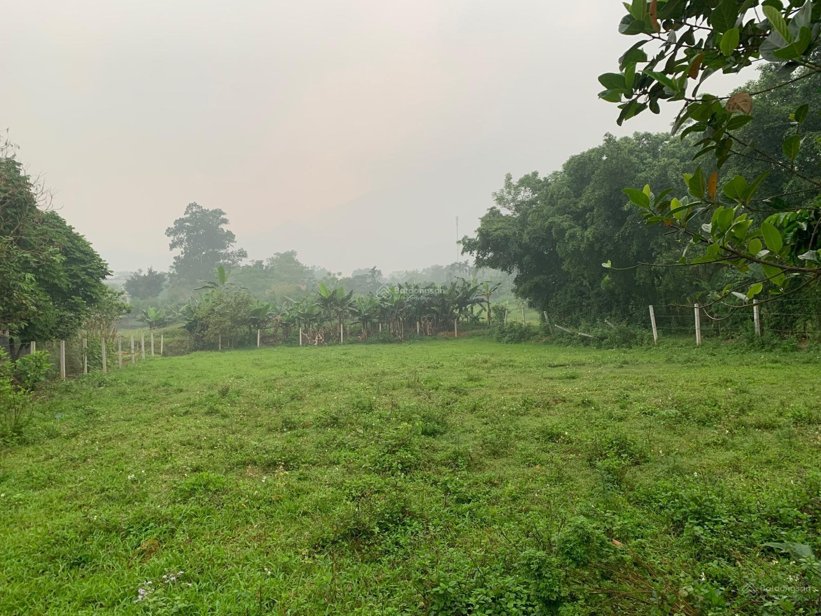 Chính chủ bán nhanh 1.100m² đất view đẹp tại ba vì làm homestay,second home