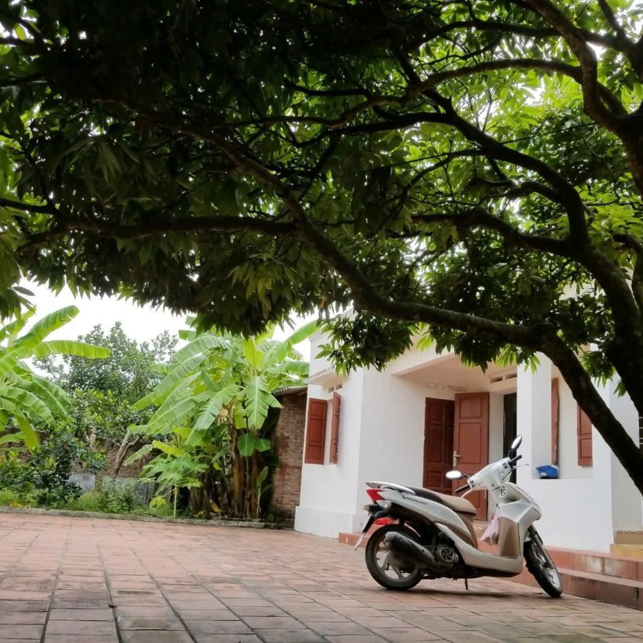 CHO THUÊ NHÀ và ĐẤT 730M2 LÀM XƯỞNG- KHO- KINH DOANH TẠI XÃ HÀ NAM, TP HẢI PHÒNG
