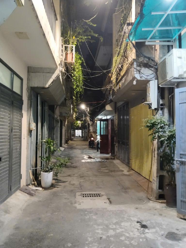 Lê Trong Tấn 52m biệt phủ thu nhỏ, đẳng cấp Vương giả