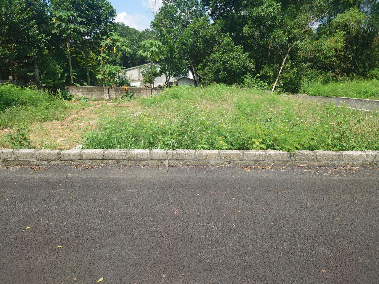 Chủ định cư NN bán gấp đất tại Xuân Khanh, Sơn tây 110m2 MT 7m, giá rẻ mua ngay có lãi liền tay.