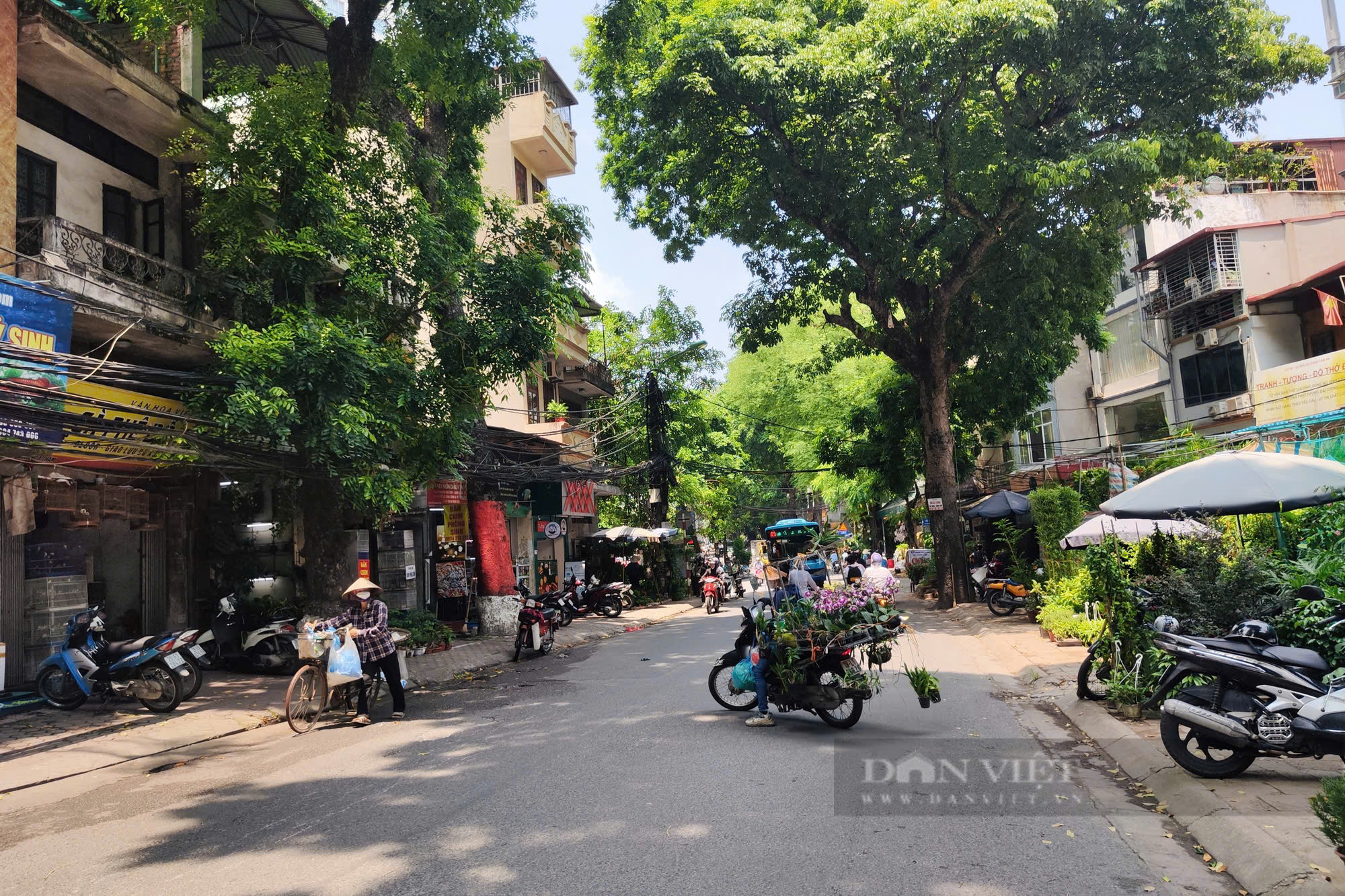 BÁN NHÀ HOÀNG HOA THÁM NHỈNH 5 TỶ  55M 6M MẶT TIỀN QUÁ NGON VỚI TẦM GIÁ