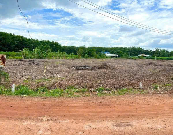 ???? 490 TRIỆU – BÁN GẤP 2000m² ĐẤT GẦN ĐƯỜNG 65M ????