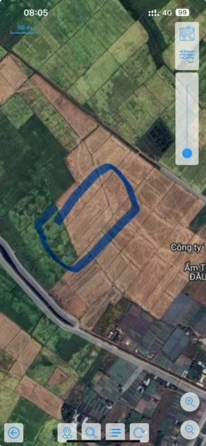 CHÍNH CHỦ BÁN ĐẤT NÔNG NGHIỆP – XÃ TÂN THỚI NHÌ, HÓC MÔN