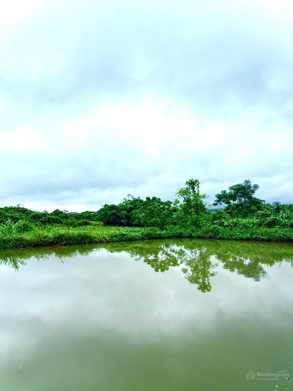 Chính chủ sang nhượng trang trại thủy sản 1 héc - ta hệ thống hiện đại, cách Đà Lạt 80km