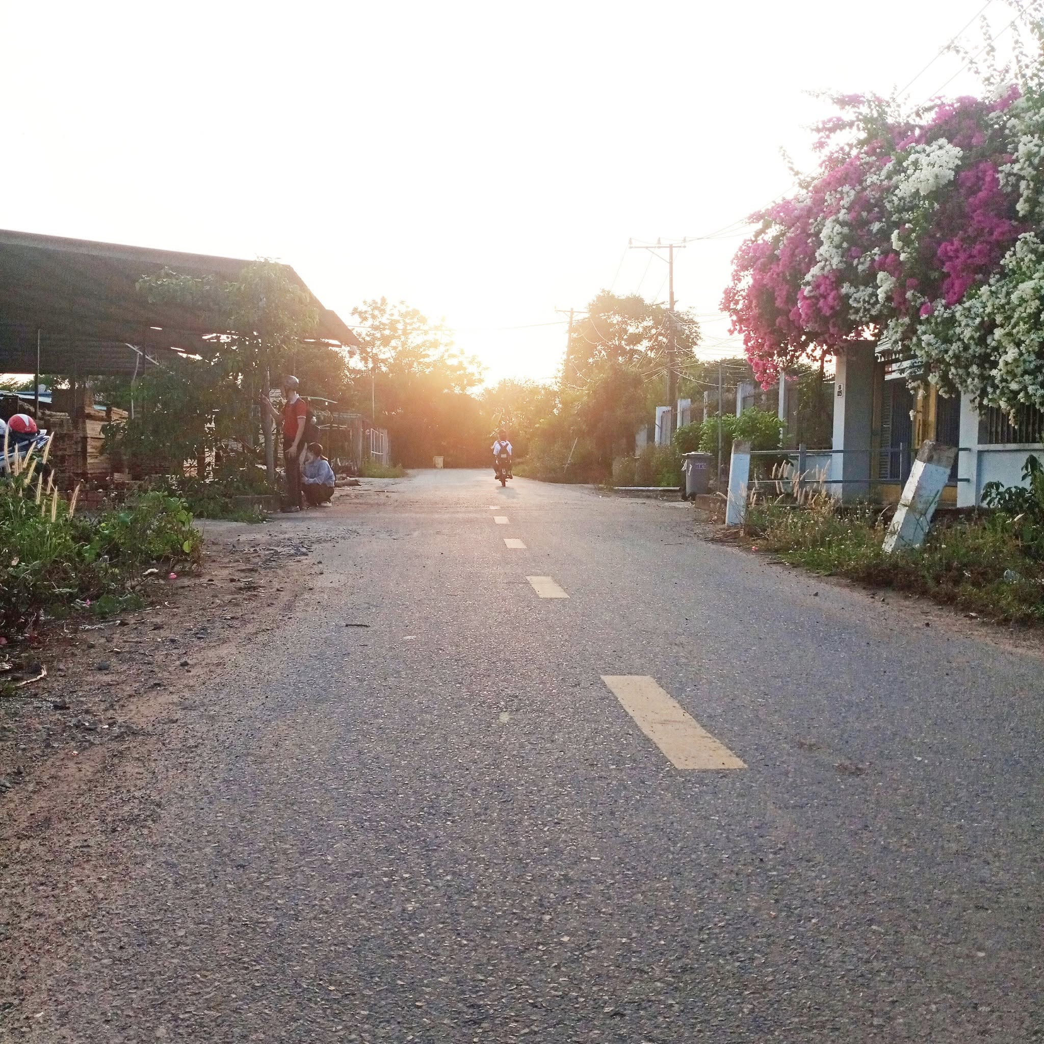 ???? **Chuyển nhượng nhanh đất mặt tiền nhựa đẹp – huyện Trảng Bom – sổ riêng thổ cư 100% ???? – Chỉ 1 tỷ 250 TL nhẹ