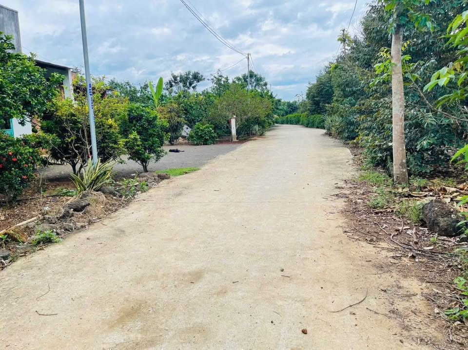 ???? 190 Triệu – Đất Mặt Tiền 8m Gần KCN