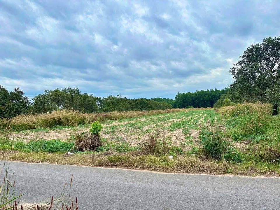 ???? 190 Triệu Sở Hữu Ngay Lô Đất Mặt Tiền 8m, Gần KCN