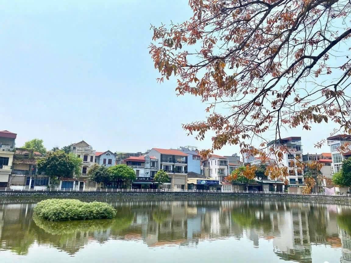 Phố Bồ Đề, View Hồ Triệu Đô 102m2 7T, MT6m, Sống Sang Bên Lề Phố Cổ - Nhỉnh 3x Tỷ