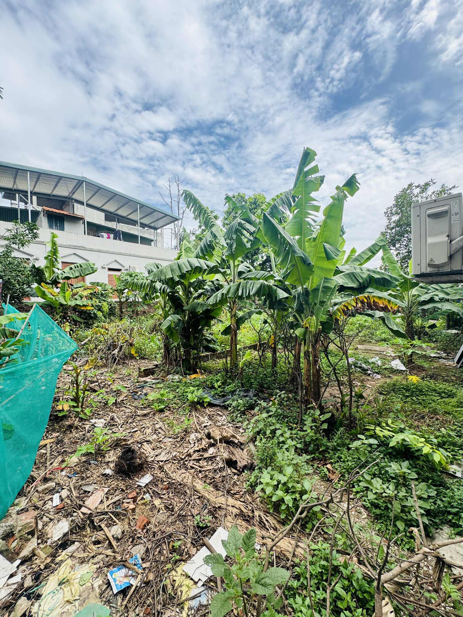 BÁN  LÔ ĐẤT FULL THỔ CƯ, 350M2, MT15M,  23 TỶ  NGỌC THỤY LONG BIÊN, VIEW SÔNG