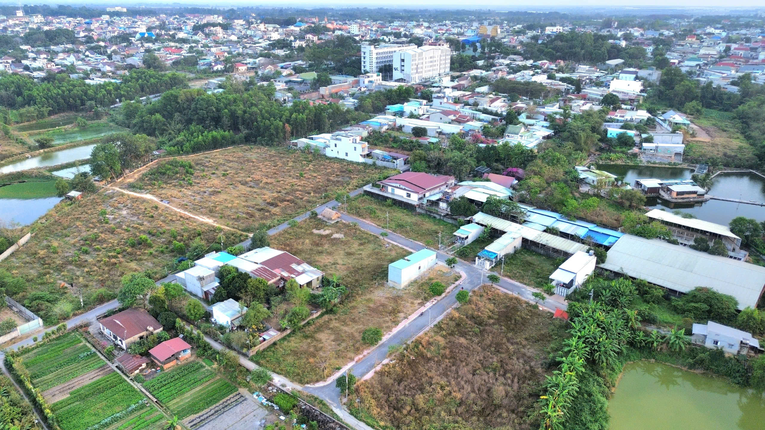 Bán đất gần Trường Trịnh Hoài Đức, 165m2 thổ cư, Bình MInh, Đồng Nai