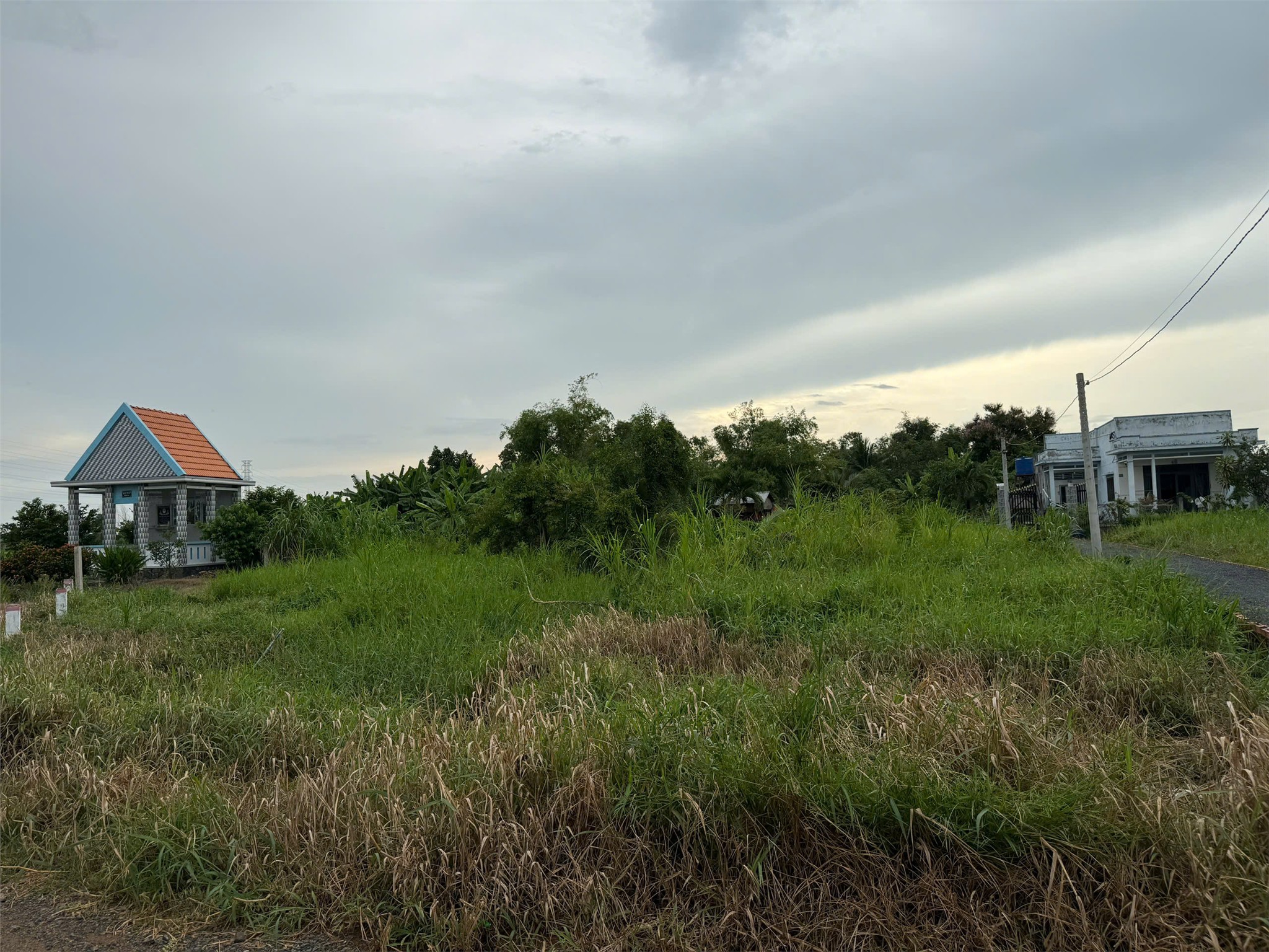 ĐẤT CHÍNH CHỦ - GIÁ TỐT Cần Bán Tại Bờ Mồi, Xã Phước Tuy, Huyện Cần Đước, Long An