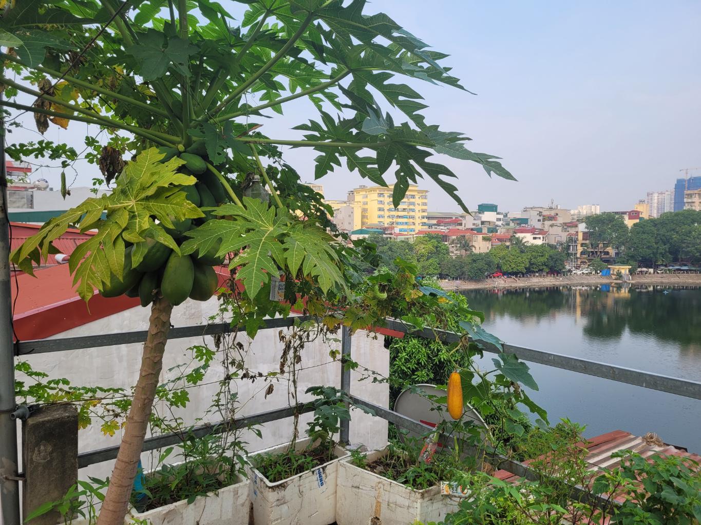 Lê Trọng Tấn , 1 mặt hồ, 1 mặt ngõ, giữa phố, giá trị cốt lõi cuộc sống