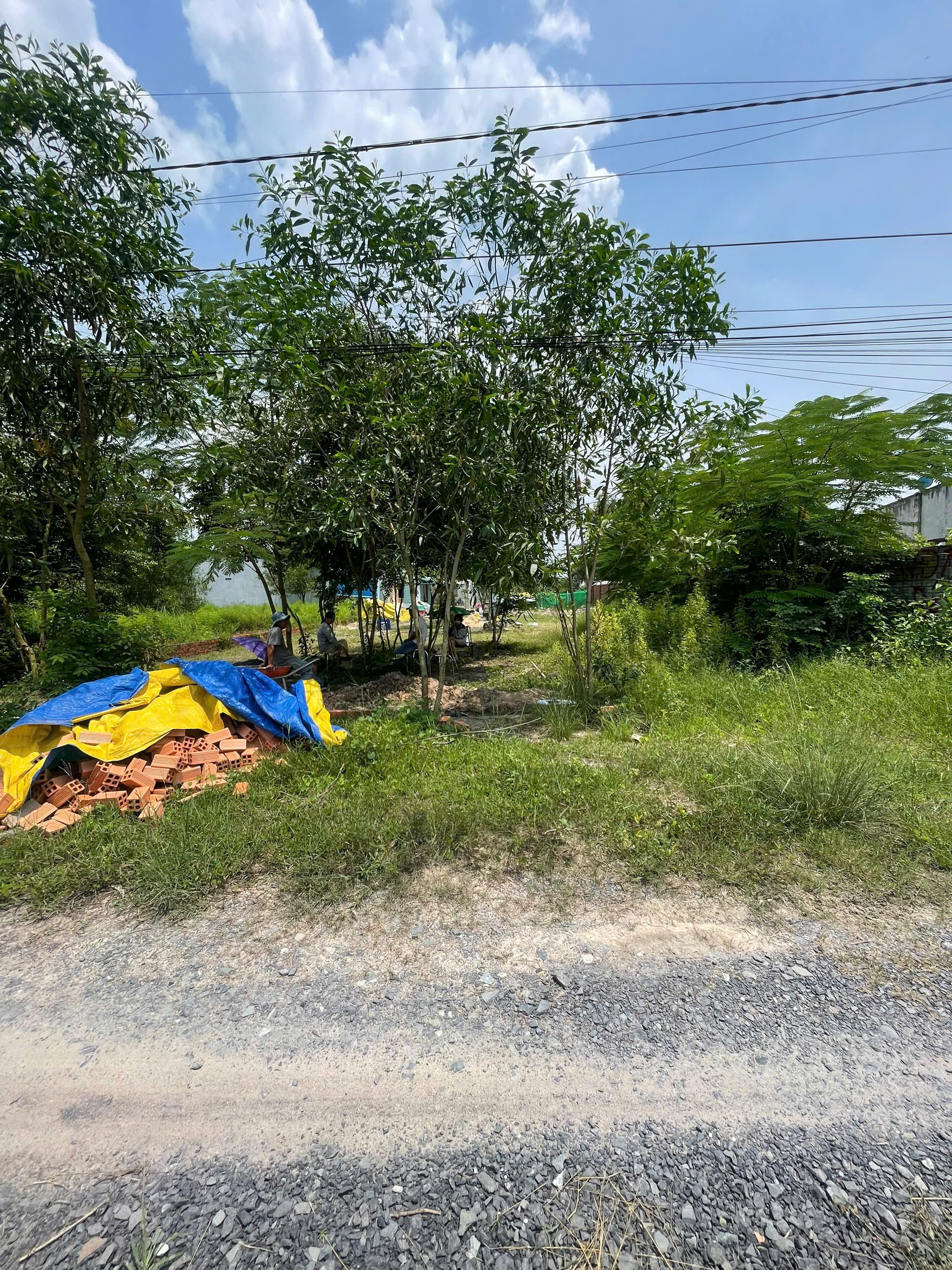 Bán đất ấp Thanh Hoà, Xã Thanh Điền, Châu Thành, Tây Ninh