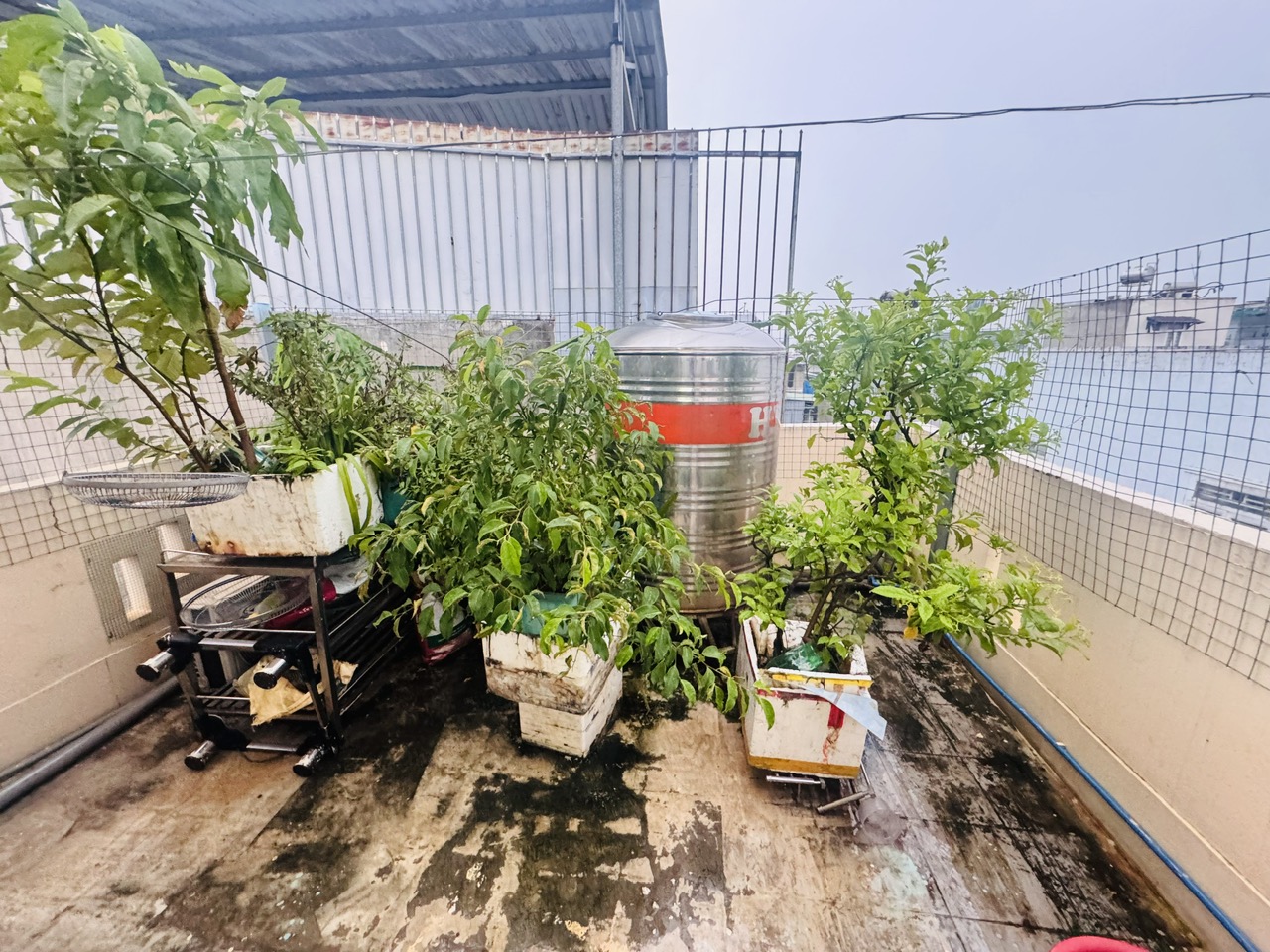 NHÀ 2 TẦNG HXH NGAY CHỢ TAM HÀ, THỦ ĐỨC – CHỦ GIẢM SÂU 800TR – CHỈ 5.1 TỶ