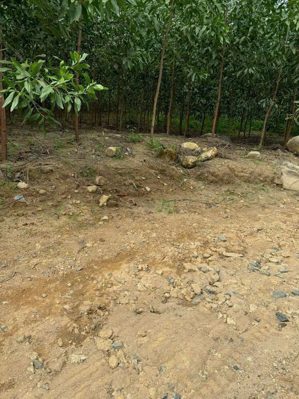 BÁN LÔ ĐẤT GIÁ CHỈ 180tr Dt:532,6m2 ( ngang 9m)