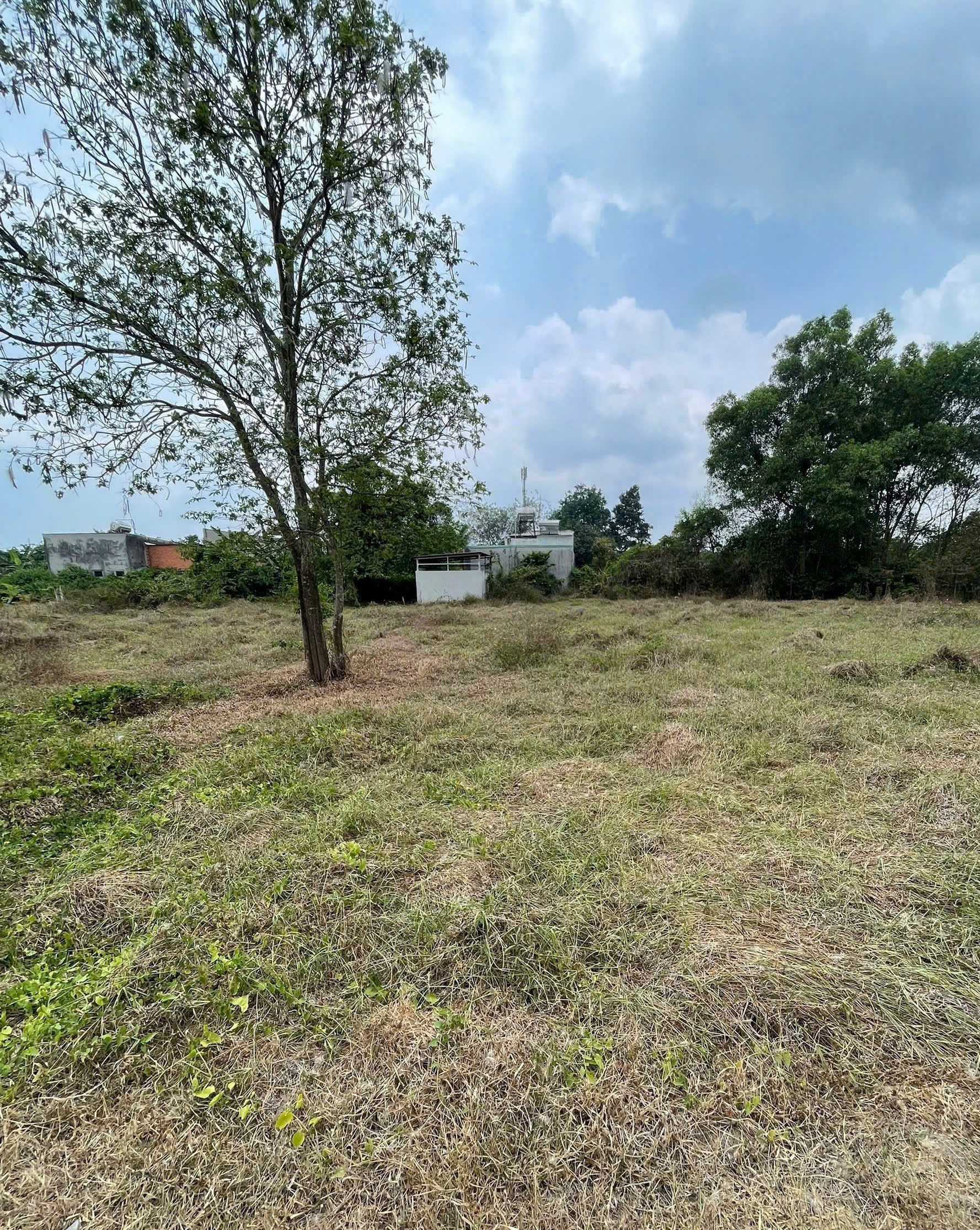 ĐẤT SẴN SỔ 490M² – GIÁ TỐT TẠI TÂN THÔNG HỘI, CỦ CHI – ĐƯỜNG XE HƠI THÔNG THOÁNG