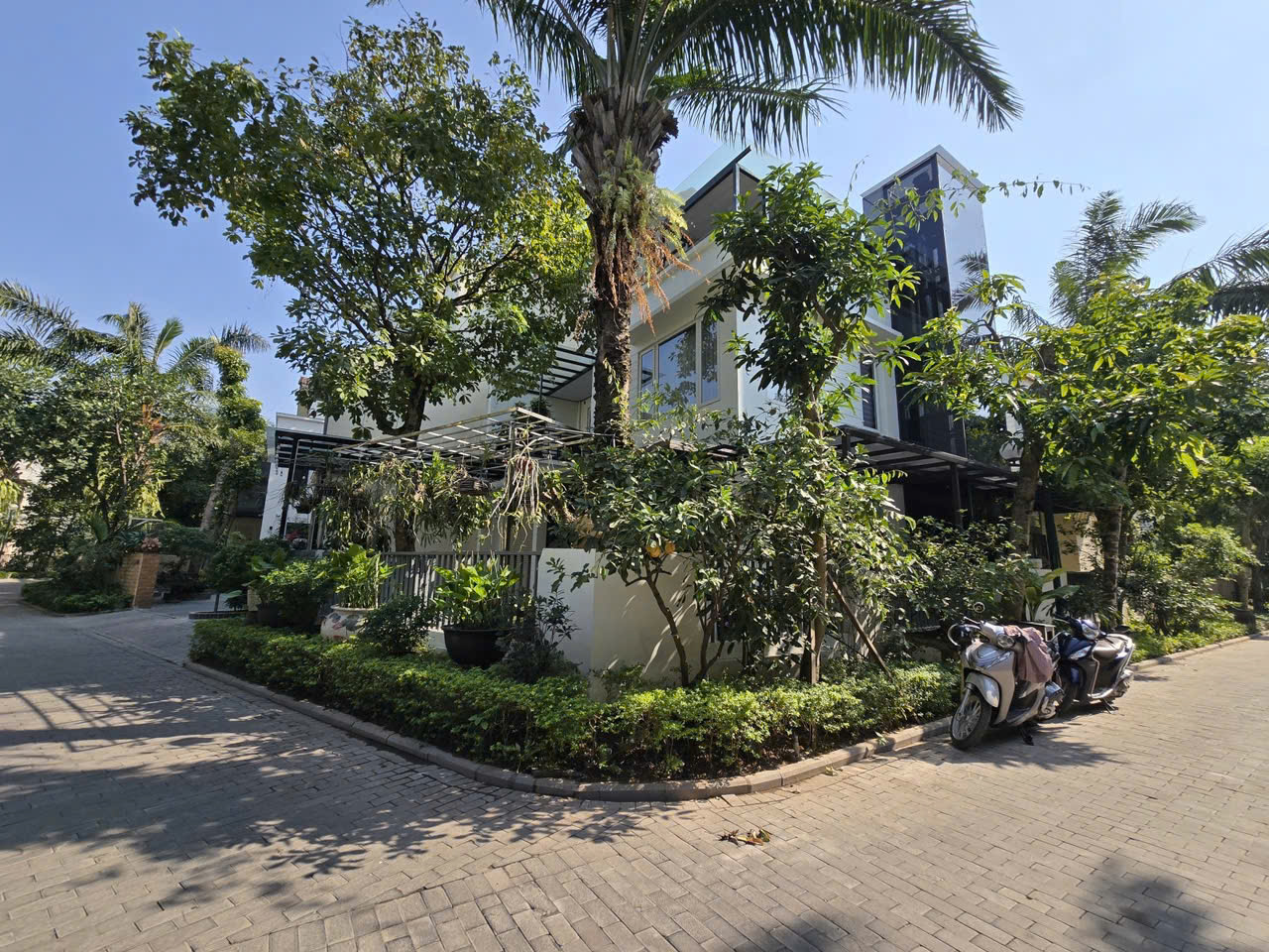 ???? Bán Biệt thự Palm Garden – Việt Hưng – 203m² – MT 11m – 4 tầng – 38 tỷ ????