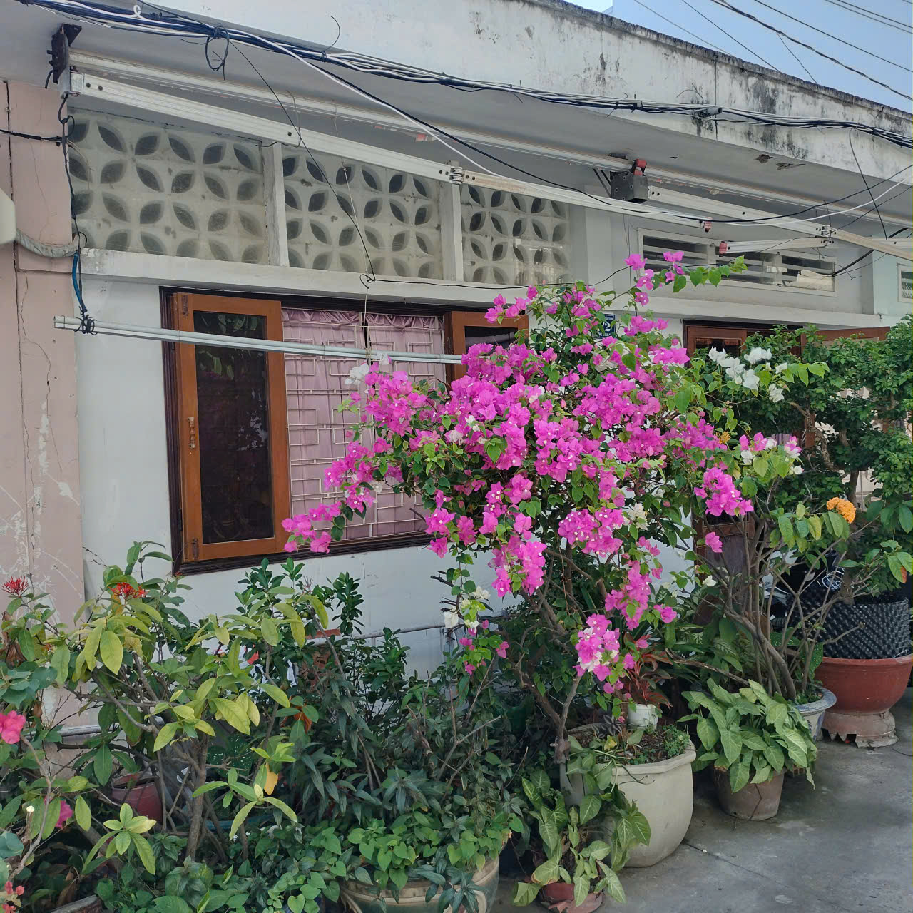 BÁN NHÀ THỔ CƯ TT CẦN GIỜ – VỊ TRÍ ĐẸP – GẦN BIỂN – CHÍNH CHỦ