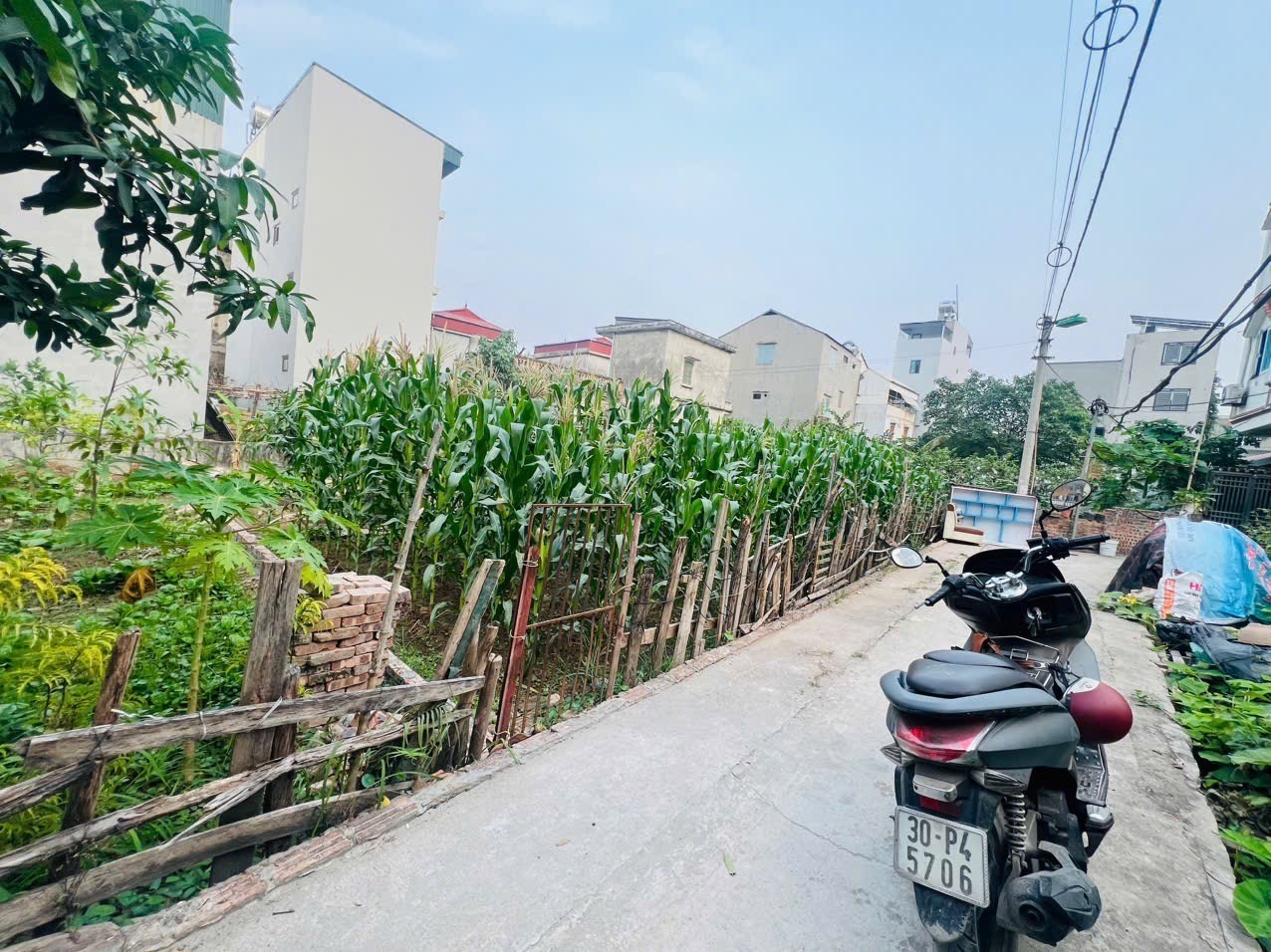 ???? BÁN ĐẤT PHƯỜNG PHÚC LỢI - LONG BIÊN ????