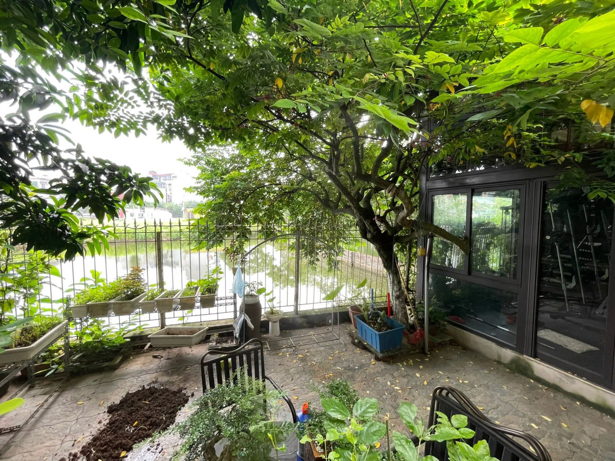 ???? BÁN BIỆT THỰ SÂN VƯỜN NGỌC THỤY – TRUNG TÂM LONG BIÊN ????
???? Diện tích đất: 378m² – Diện tích sử dụng: 428m²
???? Mặt tiền rộng: 11m – 2 mặt ngõ thoáng trước sau
???? Đường thông, ô tô vào tận đất, đỗ thoải mái
???? Không gian sống lý tưởng vớ