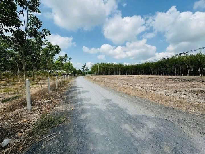 ???? Đất 5x37m, thổ cư 100m² – Giá chỉ 480 triệu