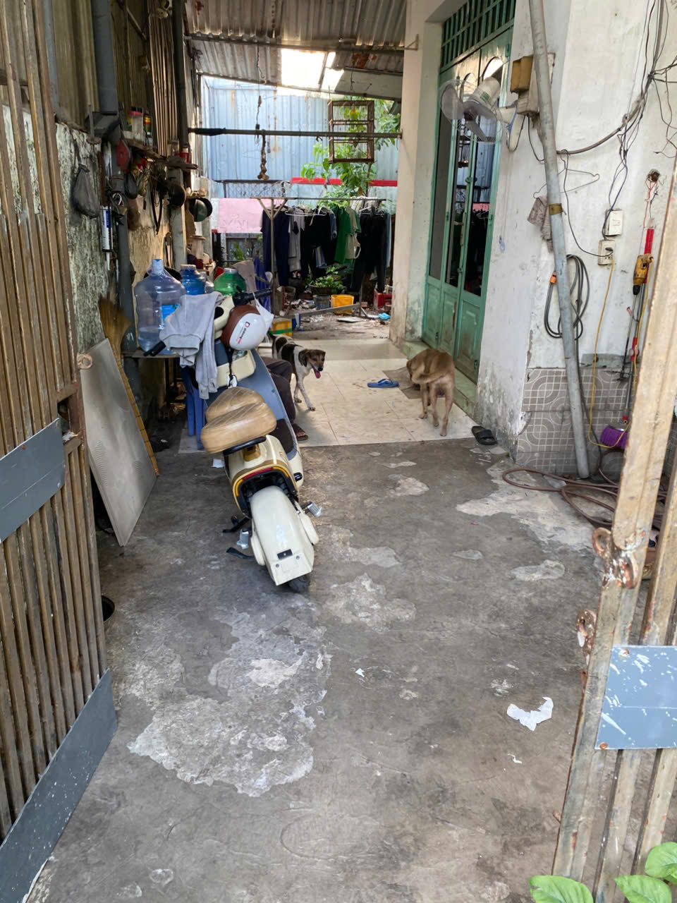 BÁN ĐẤT GẦN ĐƯỜNG ĐẶNG THÚC VỊNH – ĐÔNG THẠNH, HÓC MÔN