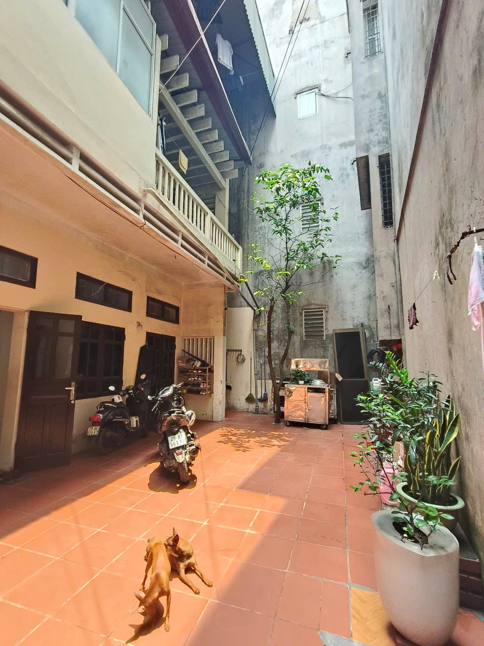 BÁN GẤP ĐẤT PHỐ NGUYỄN NGỌC LẠI , KHU QUÂN ĐỘI , DÂN TRÍ CAO, Ô TÔ ĐÕ CỬA , 68M2 GIÁ CHỈ GẦN 13 TỶ