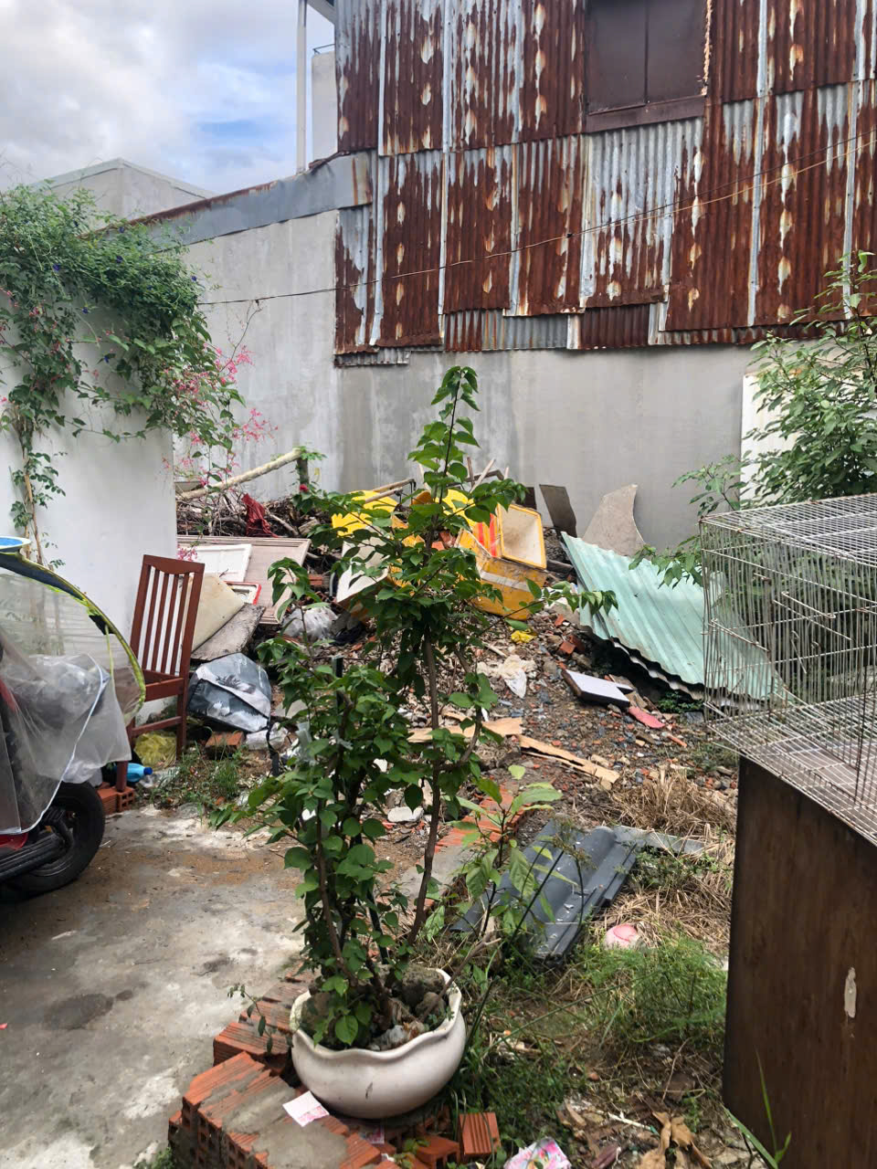 Bán đất trung tâm Bình Thạnh, 74m² nở hậu – GIÁ 6 TỶ TL – hẻm 3 gác gần mặt tiền Đinh Bộ Lĩnh