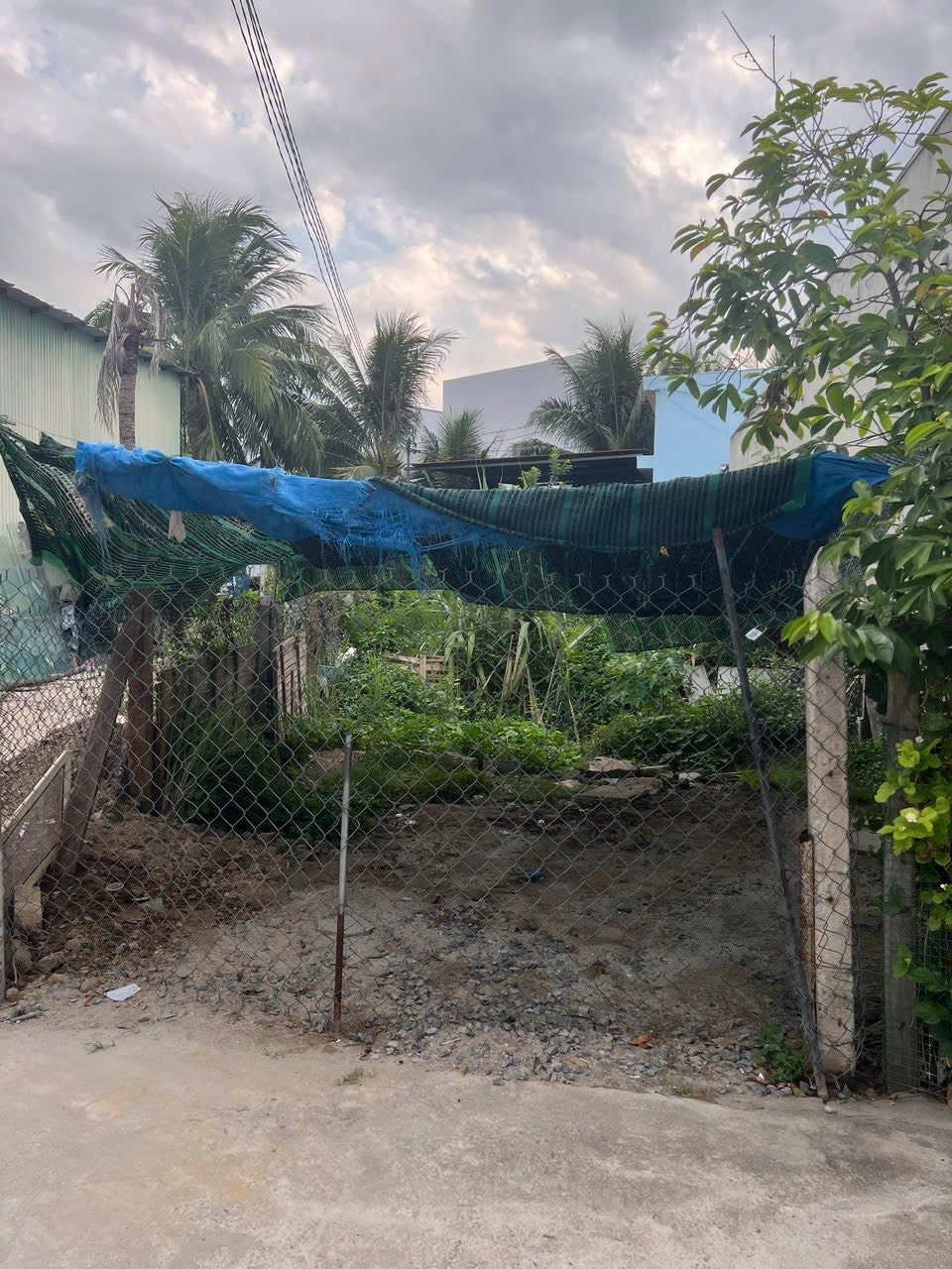 CẦN BÁN ĐẤT ĐƯỜNG SÔNG ĐÌNH GIÁP VĨNH NGỌC